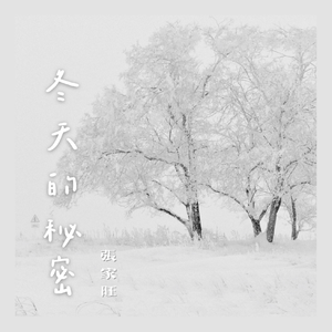 小坂七香作品封面介绍大全
