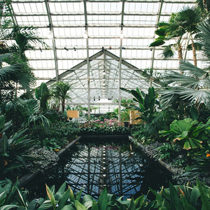 小坂七香作品封面介绍大全
